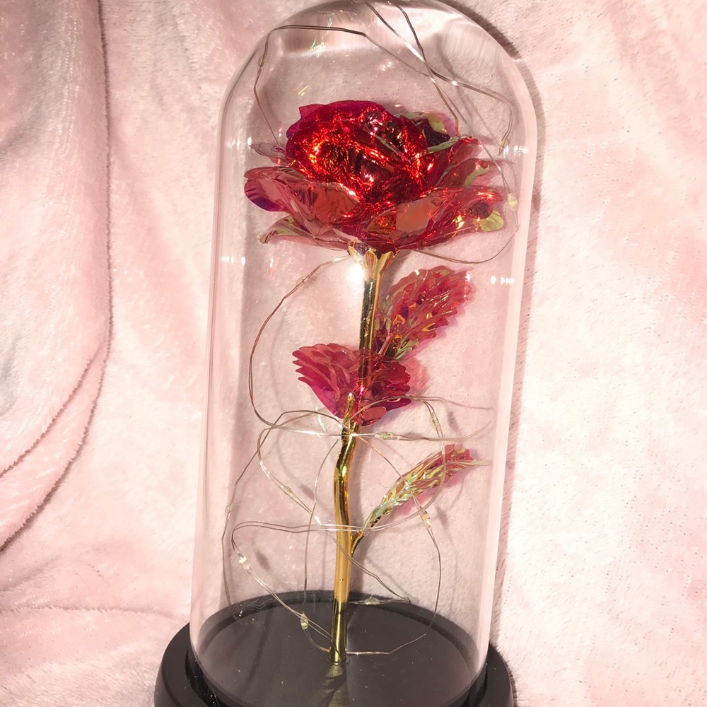 Cute light up roses for Valentines